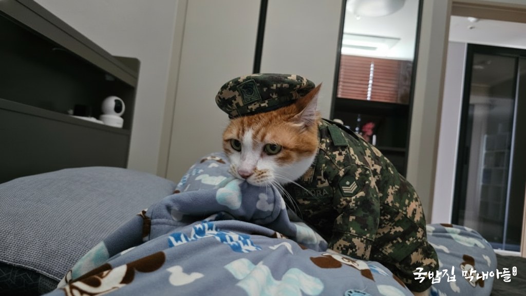 변환 예시 : 한국군인 의상